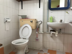 Blk 117 Teck Whye Lane (Choa Chu Kang), HDB 4 Rooms #162443912